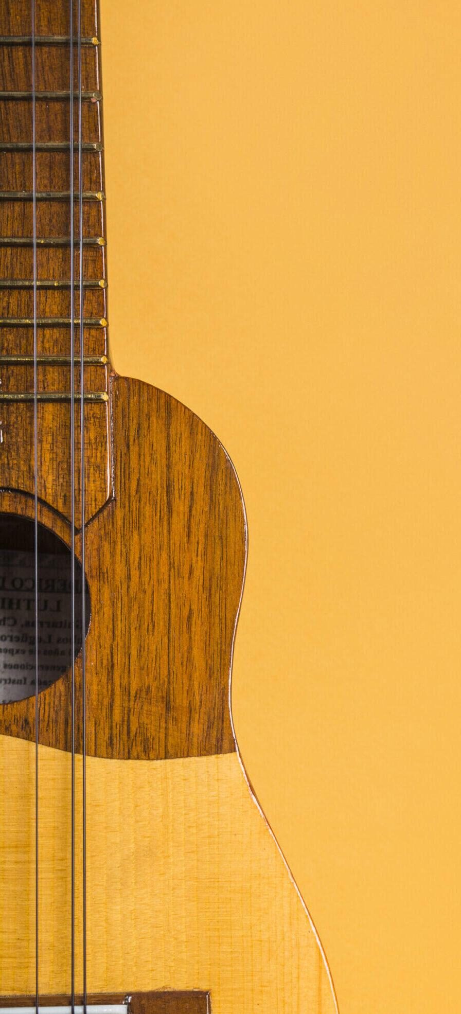 Instrumentos
Musicais
Perto de <span>Você</span>.